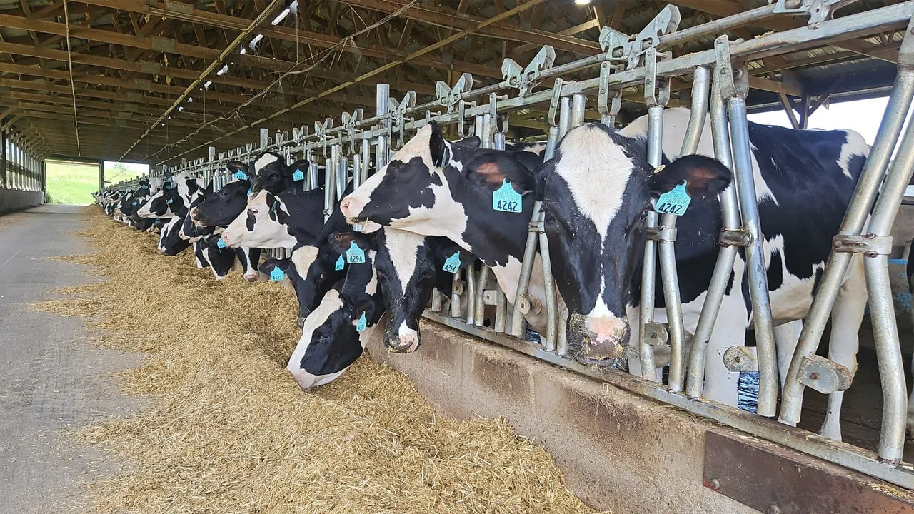 Agricultural drone over farm field
